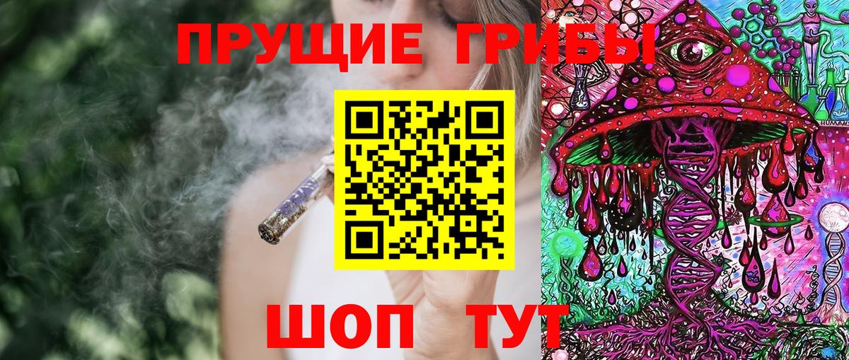 Нерюнгри  Псилоцибиновые грибы MAGIC MUSHROOMS  Вход с VPN 