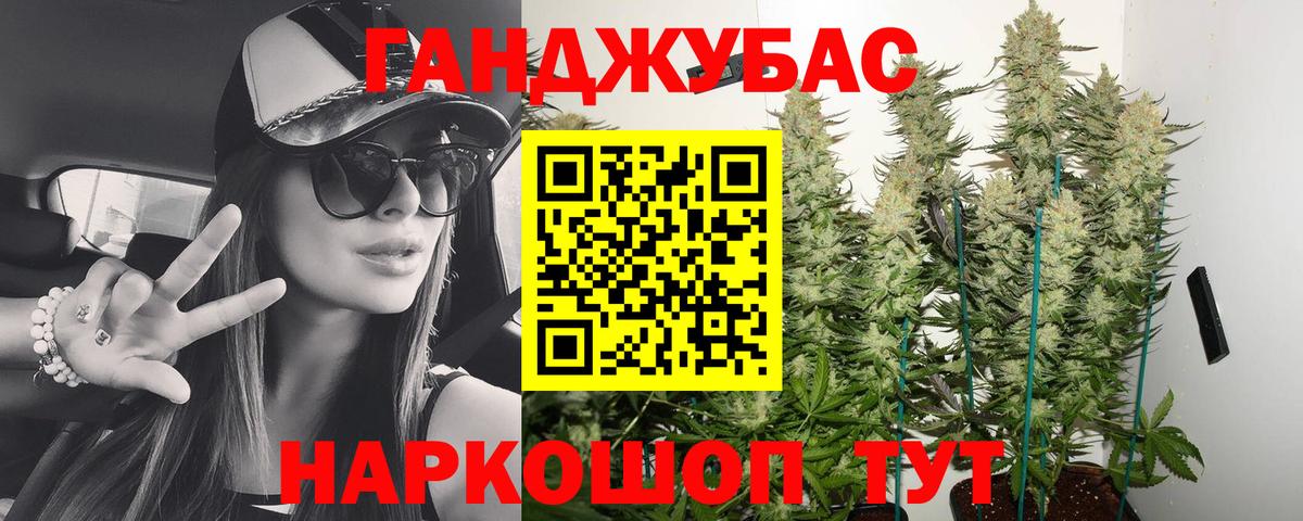 Бошки Шишки Amnesia Нерюнгри